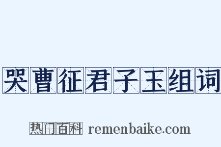 哭曹征君子玉组词是什么意思的图片